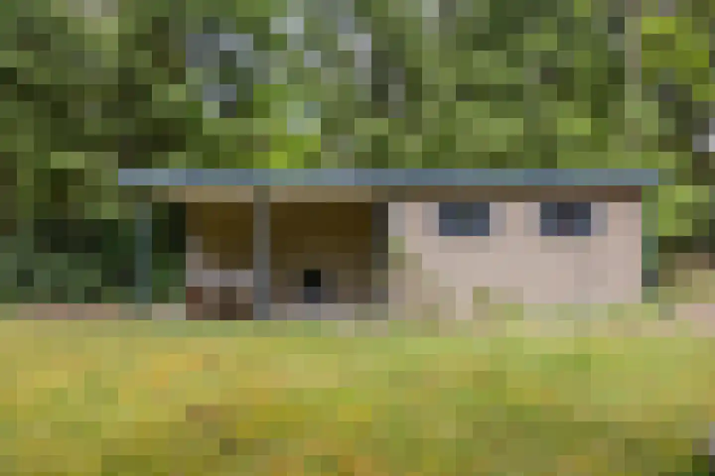 Hertenpad 6 Norg thumbnail 42