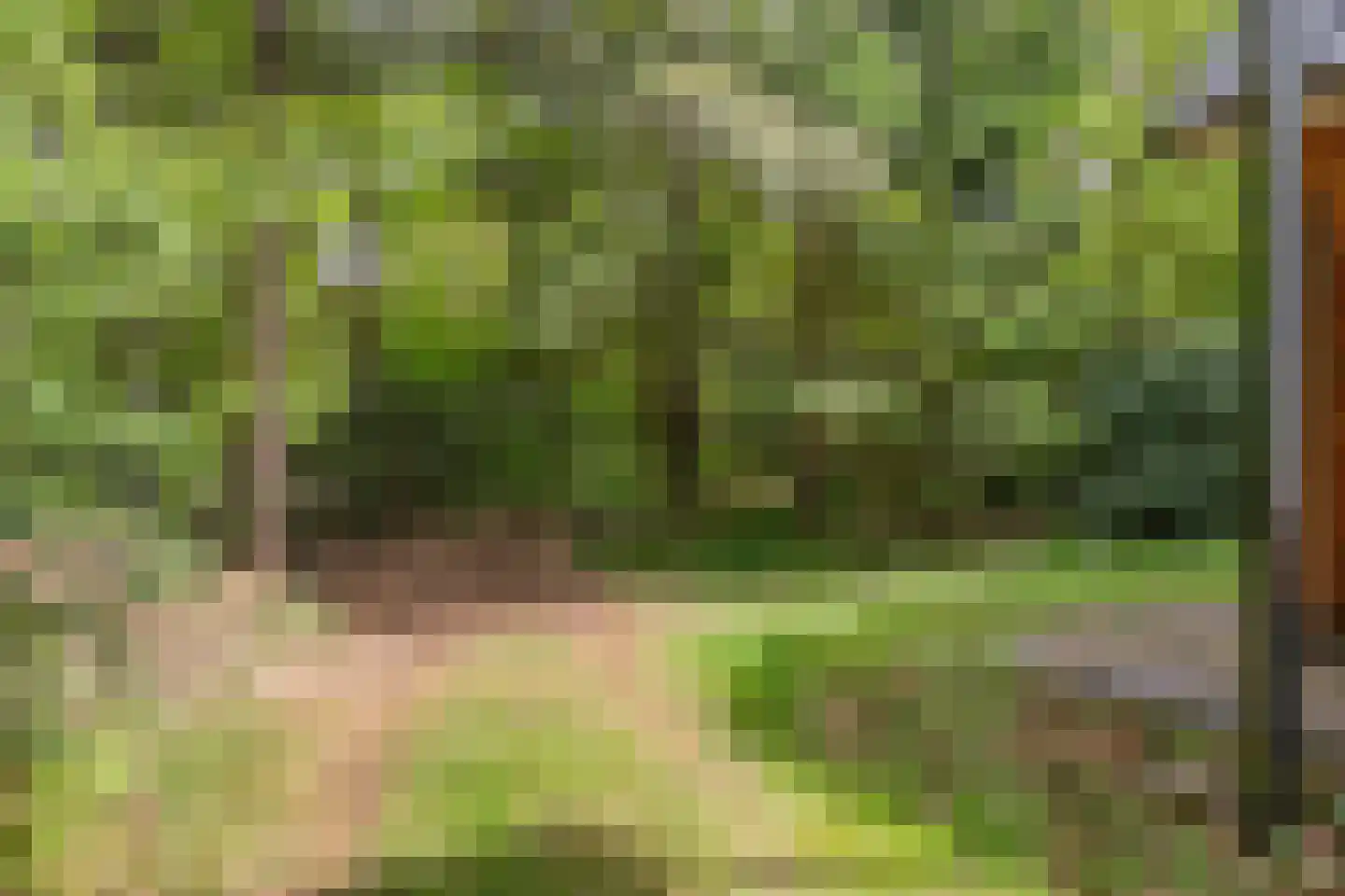 Hertenpad 6 Norg thumbnail 44