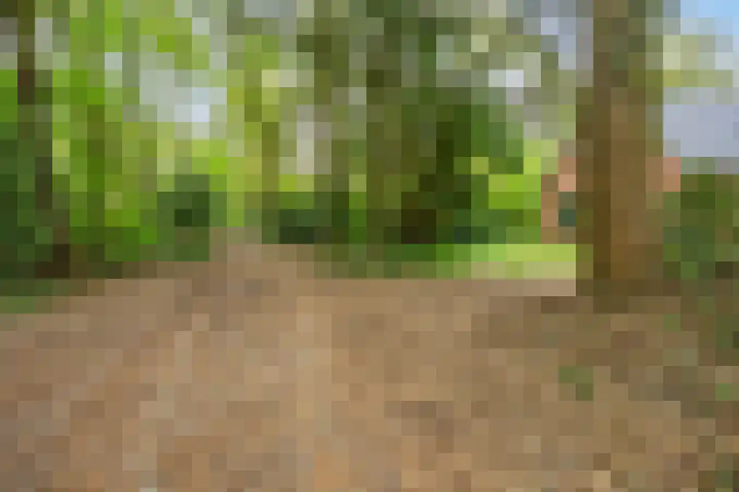 Hertenpad 6 Norg thumbnail 45