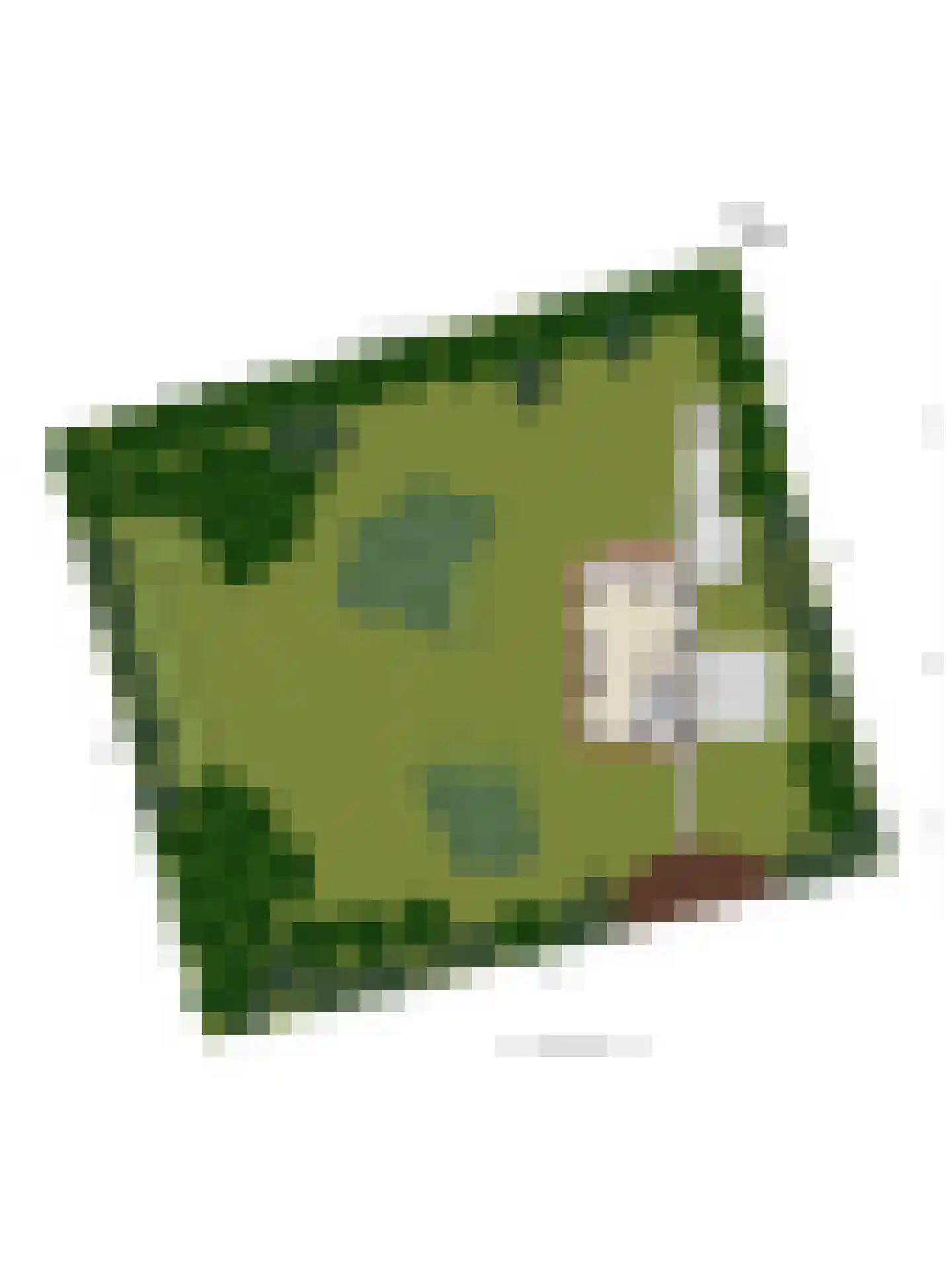 Hertenpad 6 Norg thumbnail 47