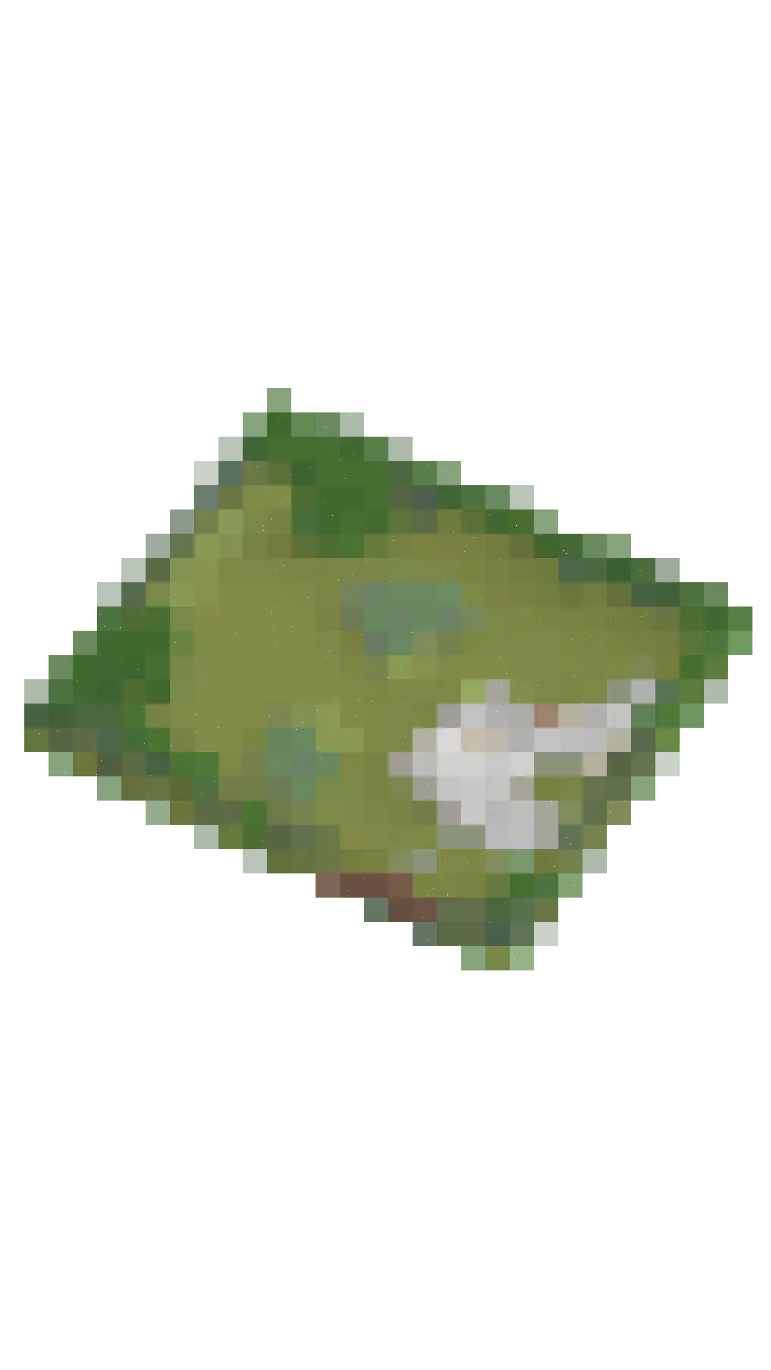 Hertenpad 6 Norg thumbnail 52