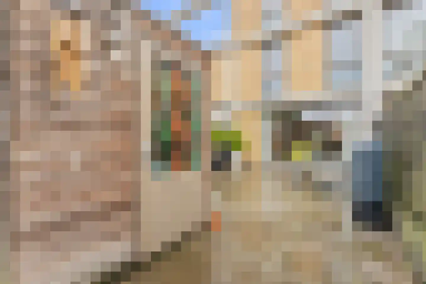 Hertenrade 229 Den Haag thumbnail 19