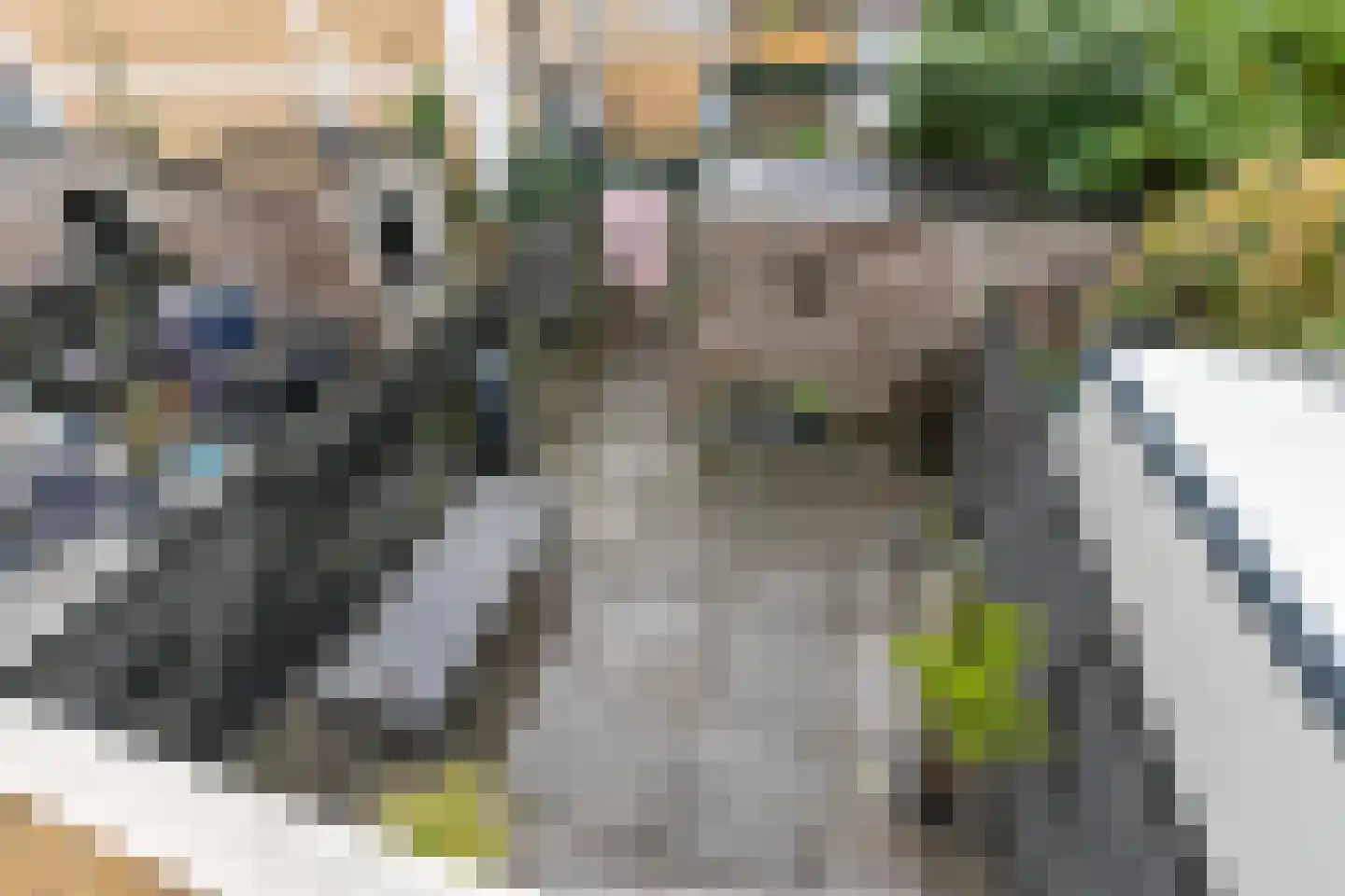 Hertenrade 229 Den Haag thumbnail 6