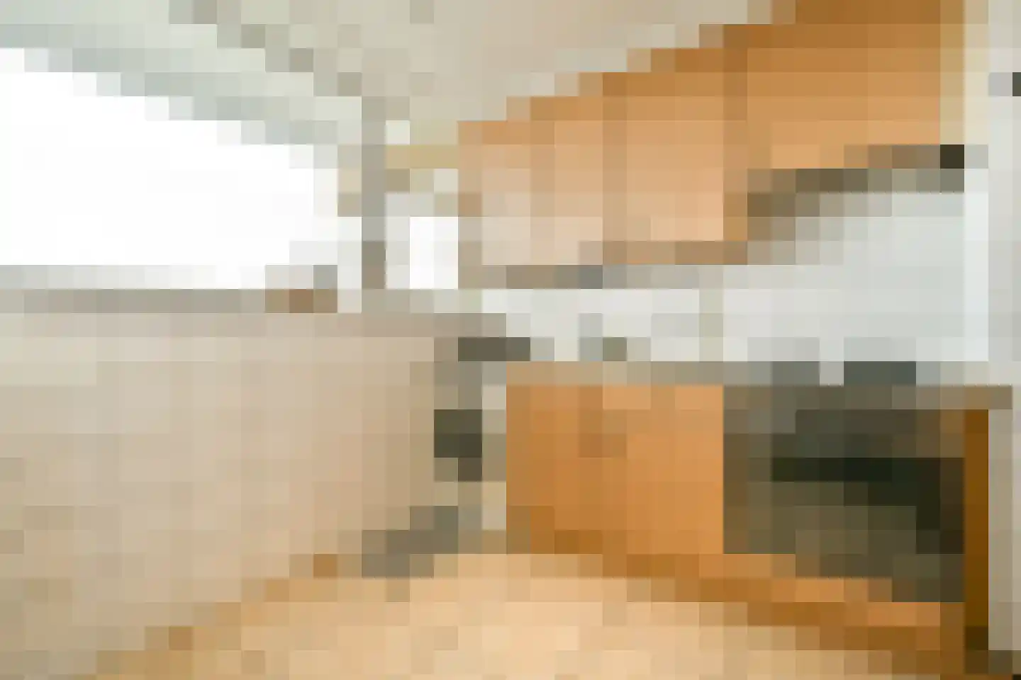 Hertenrade 382 Den Haag thumbnail 8