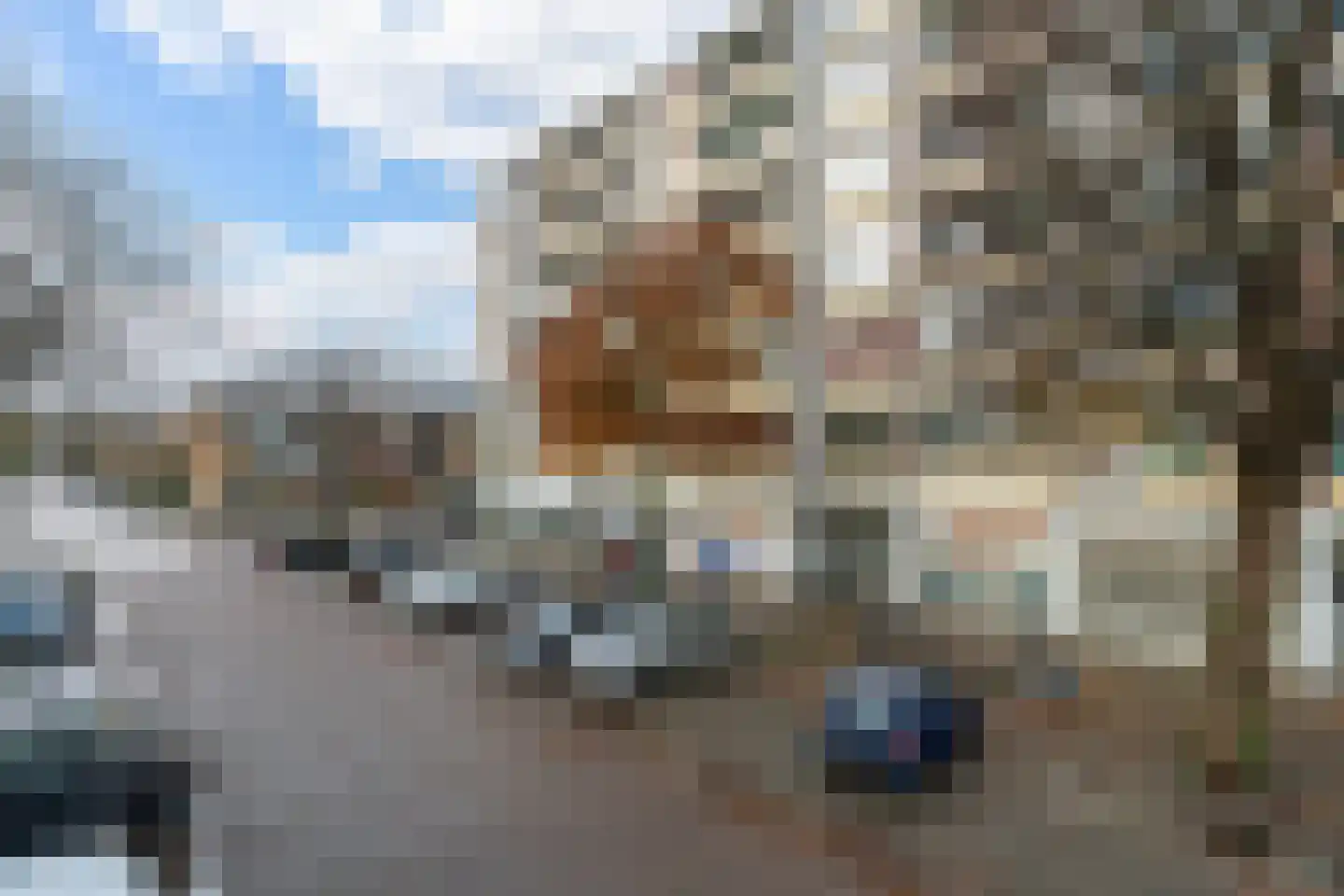 Hertenrade 416 Den Haag thumbnail 20