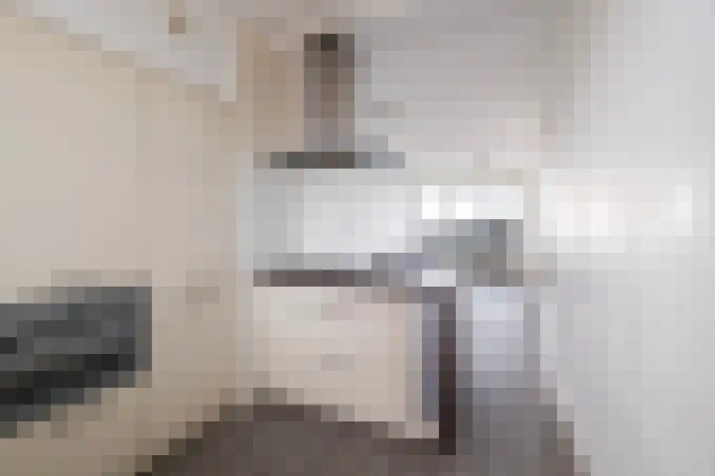 Hertenrade 416 Den Haag thumbnail 8