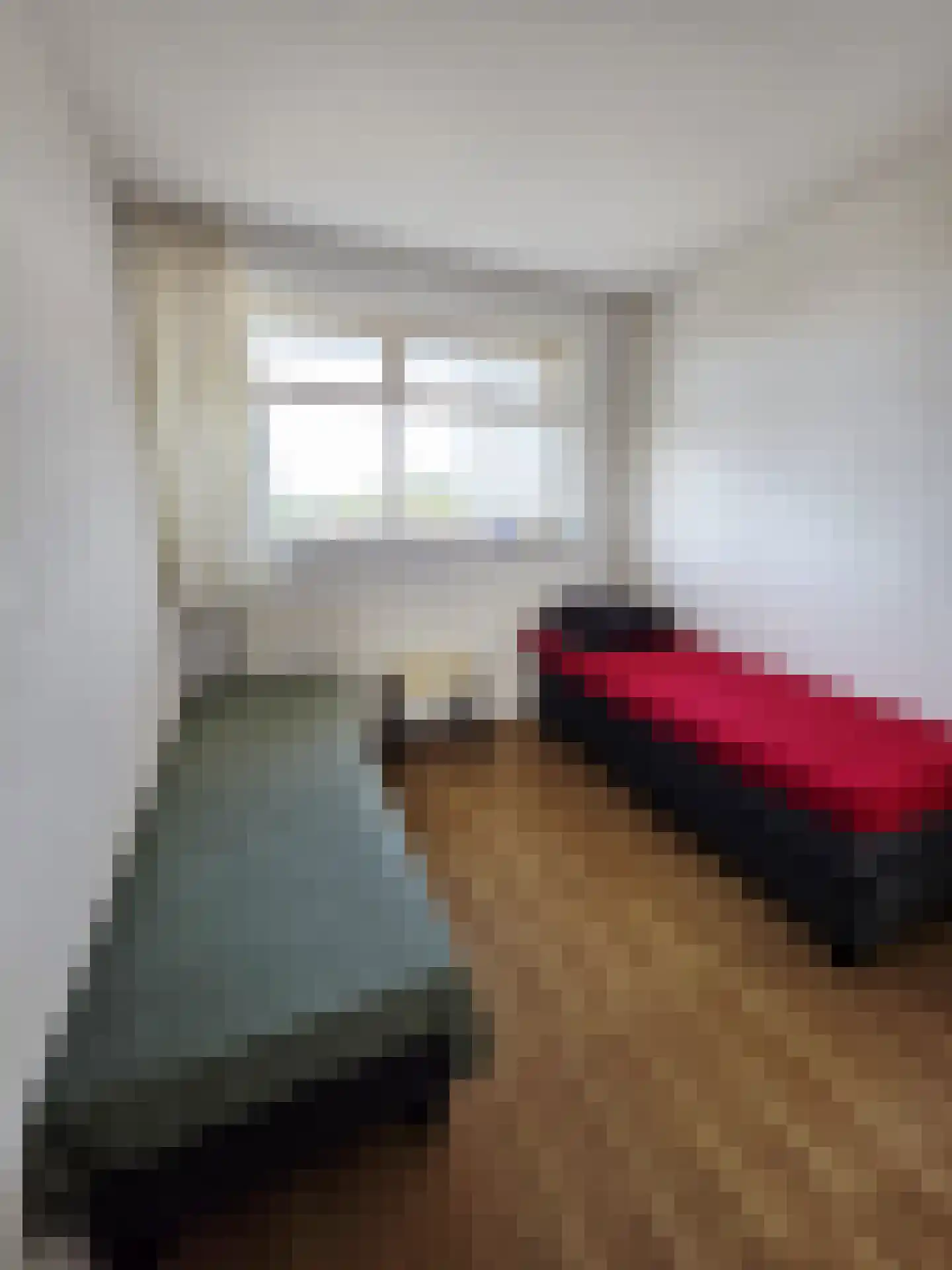 Hertenrade 432 Den Haag thumbnail 12