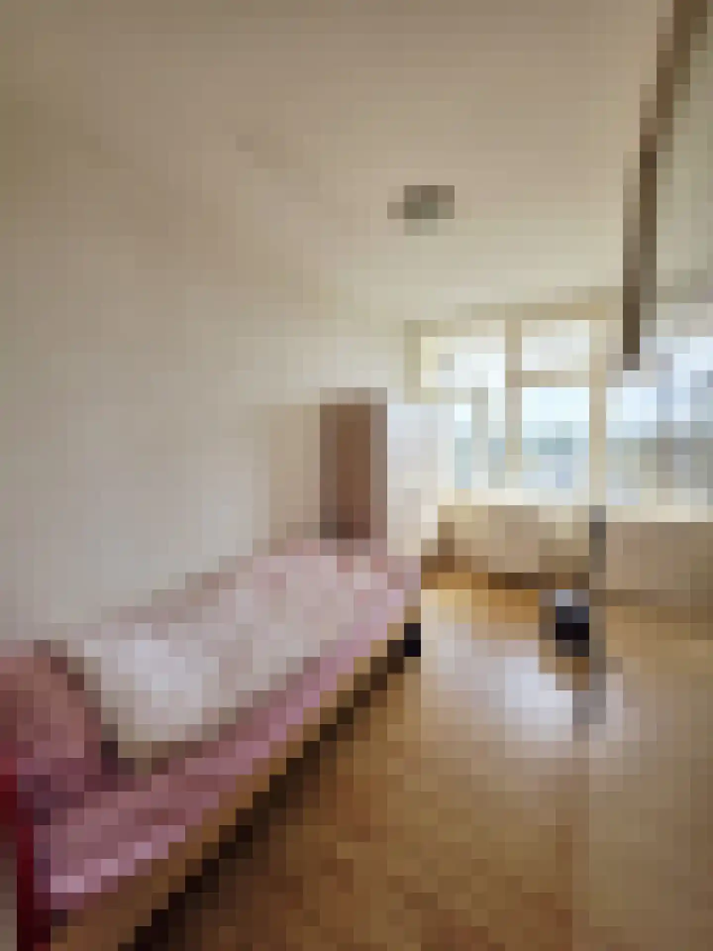 Hertenrade 432 Den Haag thumbnail 14