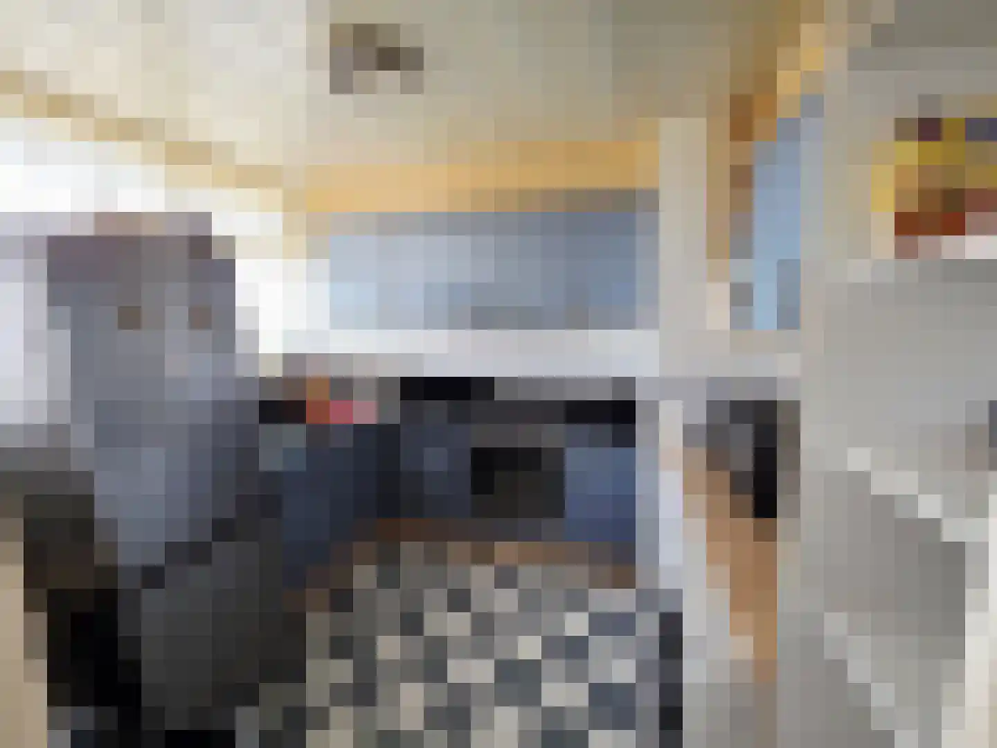Hertenrade 432 Den Haag thumbnail 9