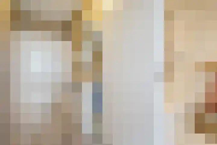 Hertenrade 438 Den Haag thumbnail 18