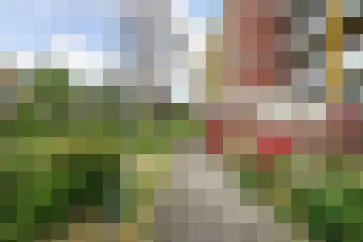 Hertenrade 438 Den Haag thumbnail 33
