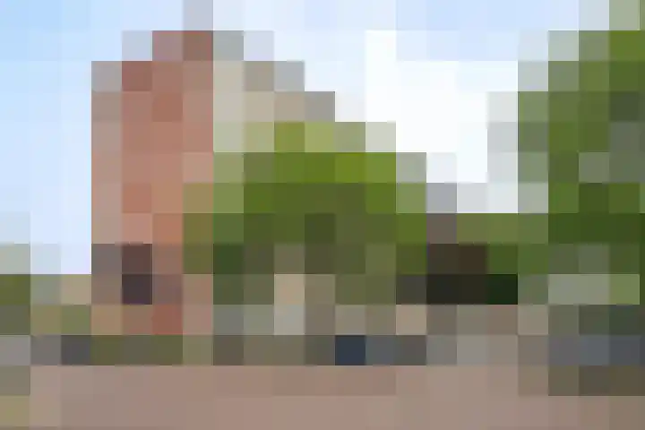 Hertenrade 438 Den Haag thumbnail 36