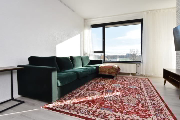 Hertenrade 442 in 's-Gravenhage foto