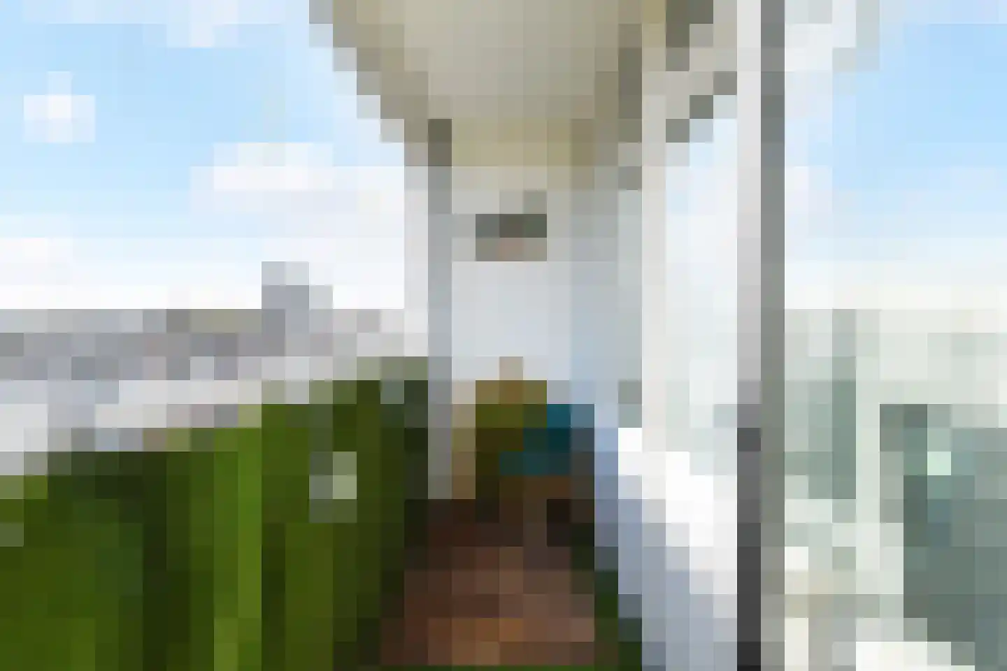 Hertenrade 442 Den Haag thumbnail 27