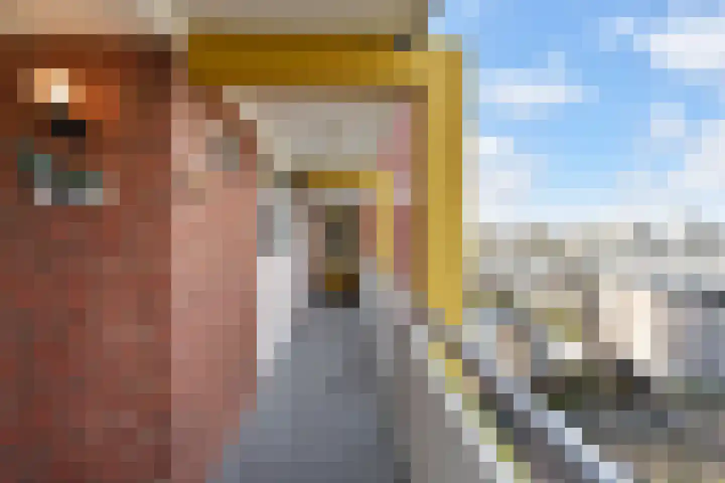 Hertenrade 442 Den Haag thumbnail 8
