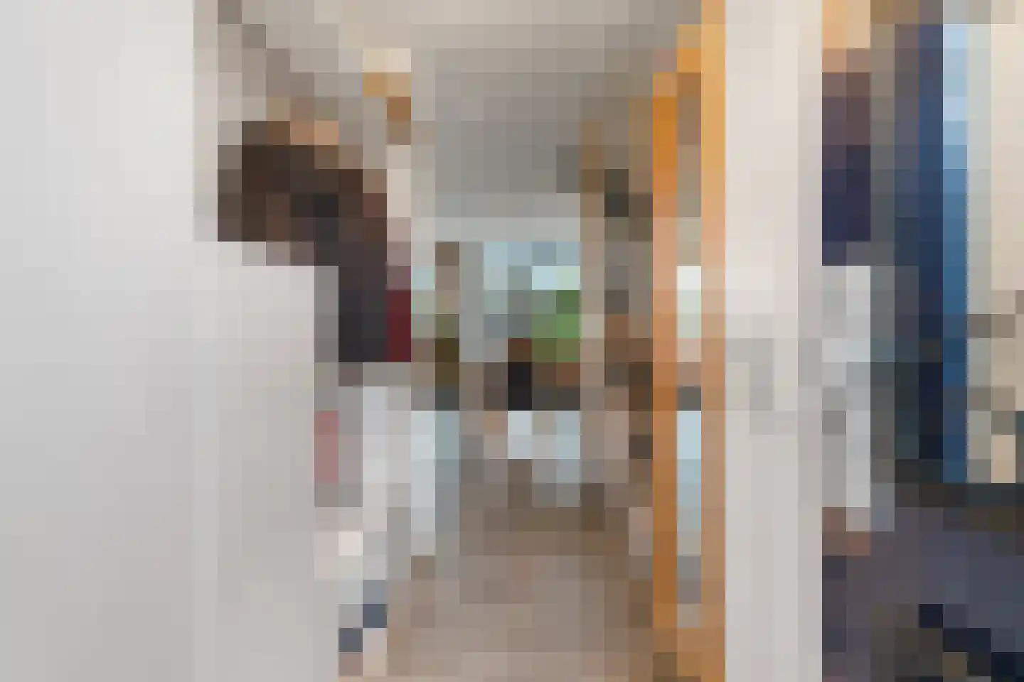 Hertenrade 500 Den Haag thumbnail 7