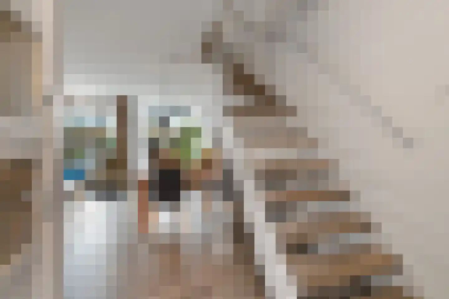 Hertenrade 500 Den Haag thumbnail 8