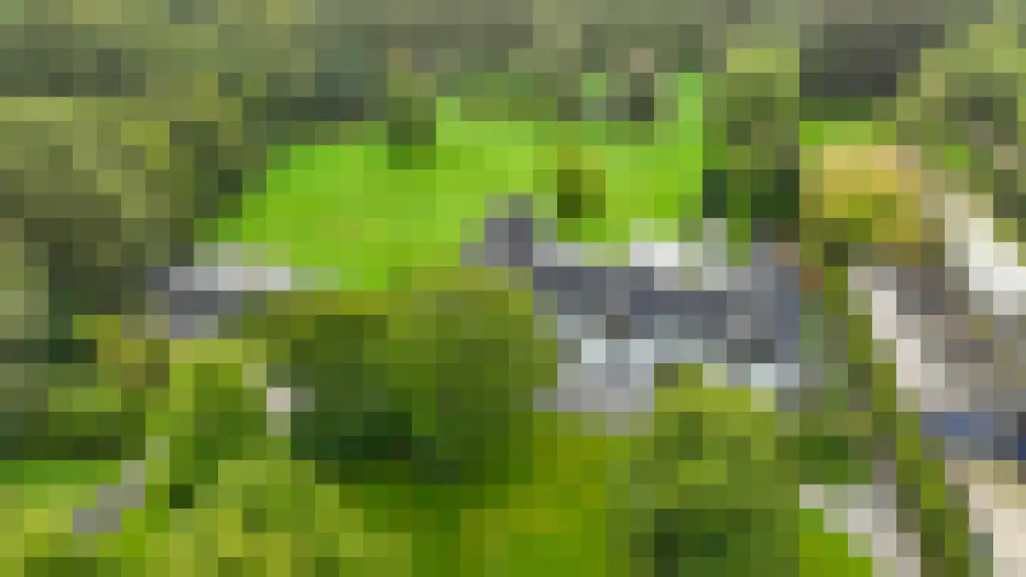 Hertenroep 10 Teteringen