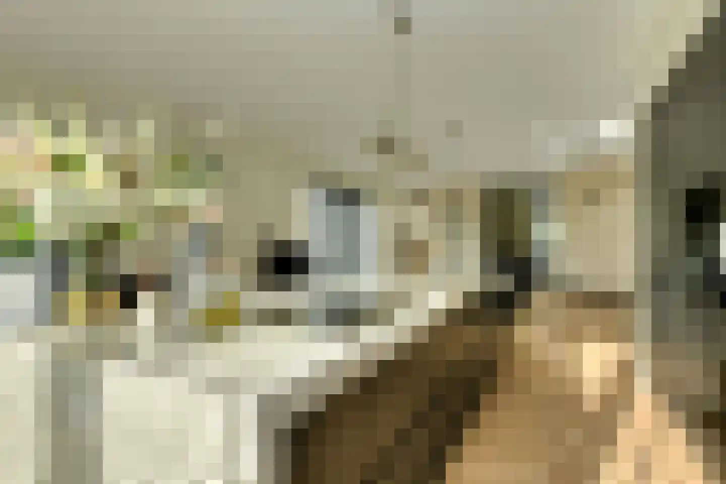 Hertenroep 10 Teteringen thumbnail 10