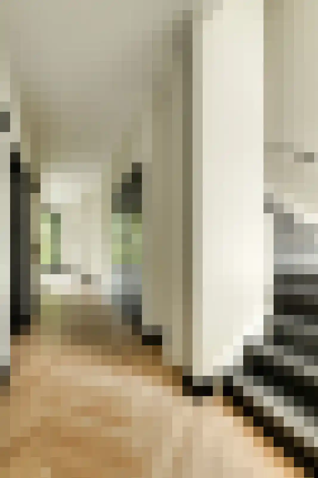 Hertenroep 10 Teteringen thumbnail 18