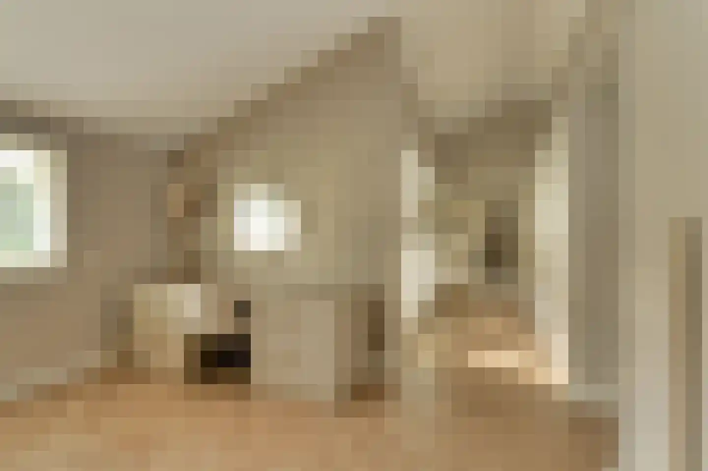 Hertenroep 10 Teteringen thumbnail 21