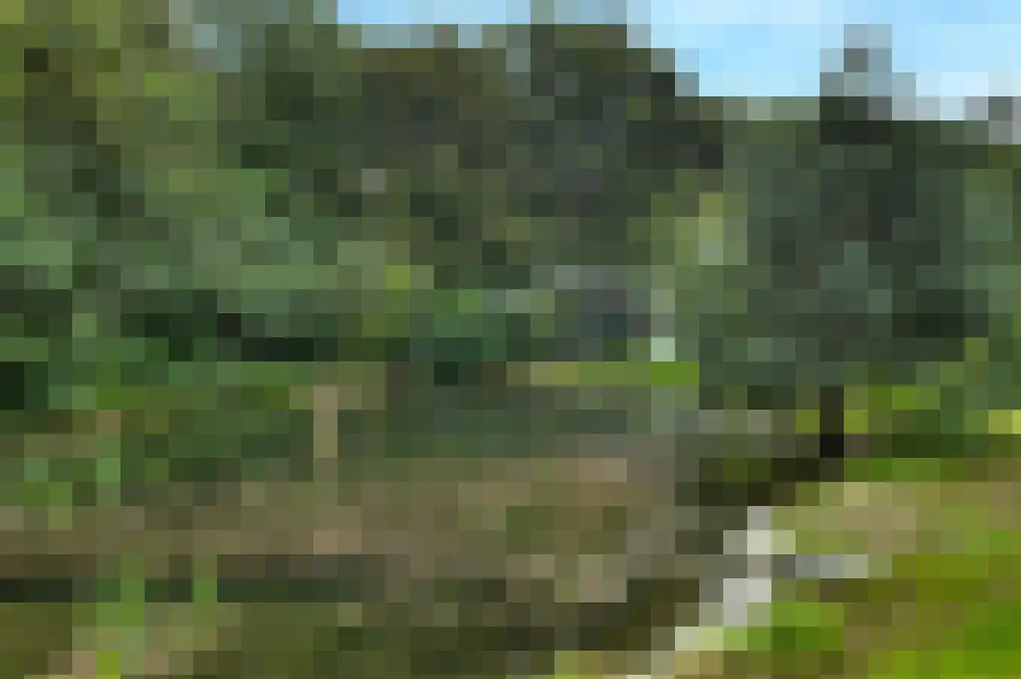 Hertenroep 10 Teteringen thumbnail 36