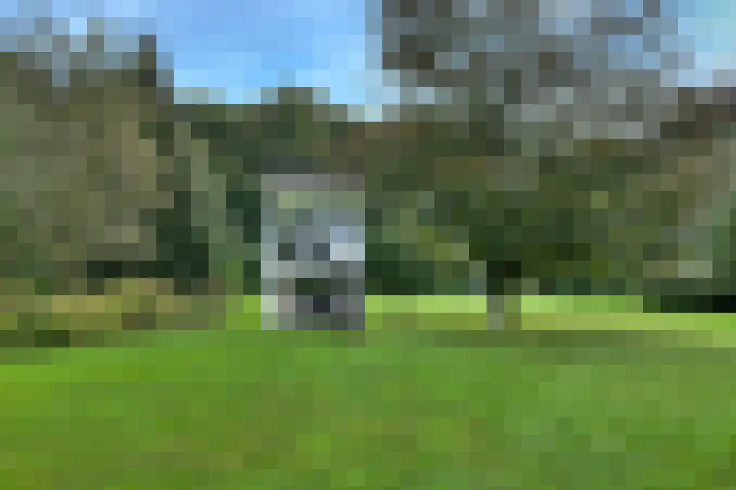 Hertenroep 10 Teteringen thumbnail 39