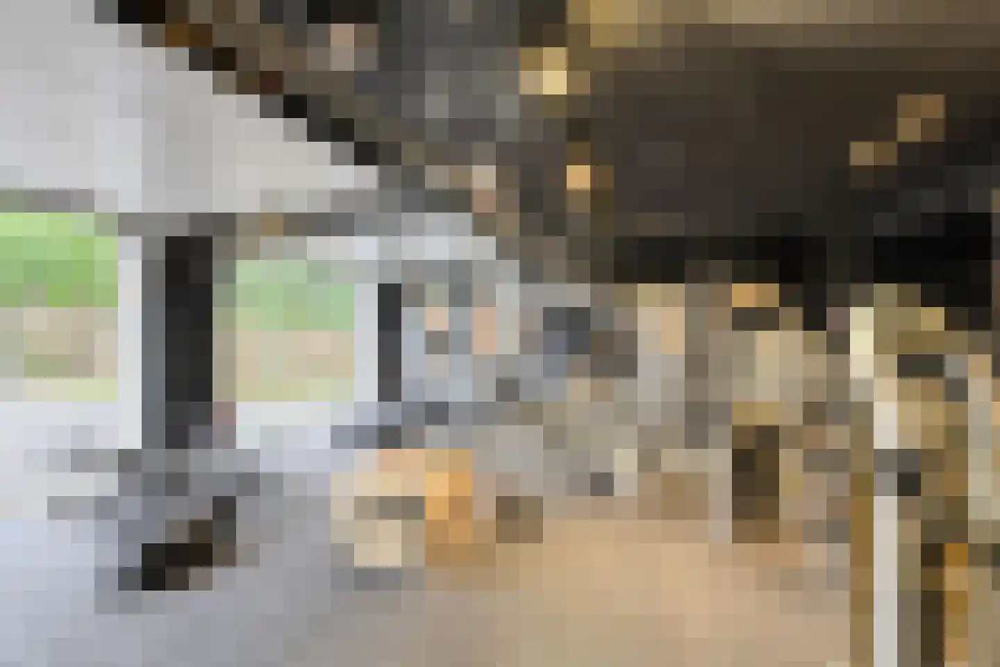 Hertenroep 10 Teteringen thumbnail 45