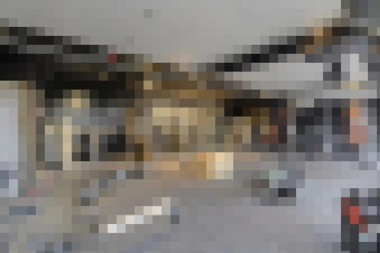Hertenroep 10 Teteringen thumbnail 48