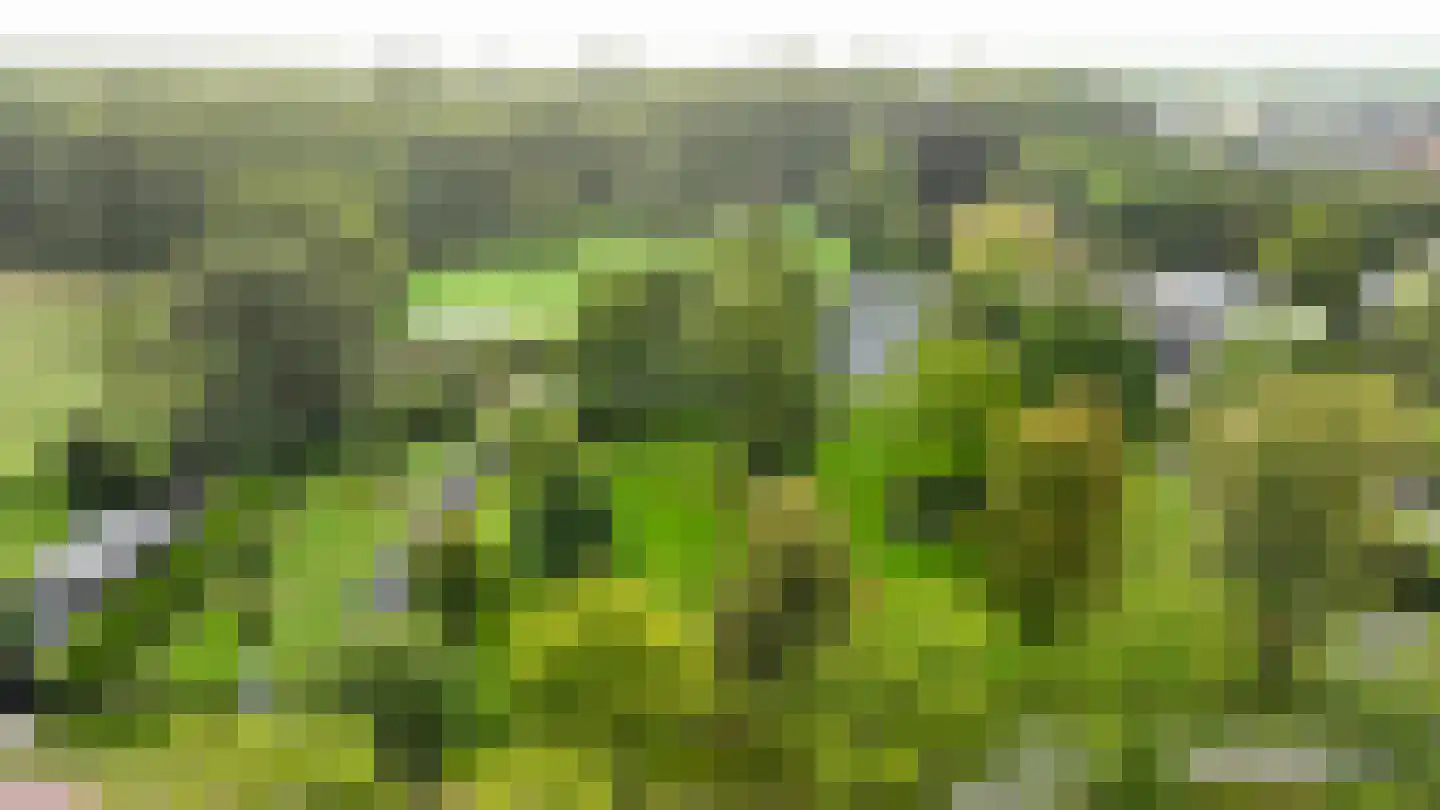 Hertenroep 10 Teteringen thumbnail 51