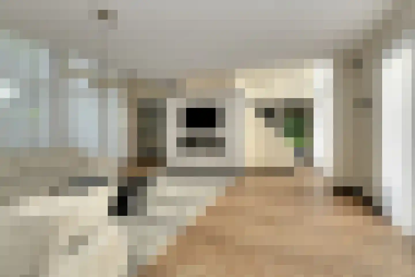 Hertenroep 10 Teteringen thumbnail 6