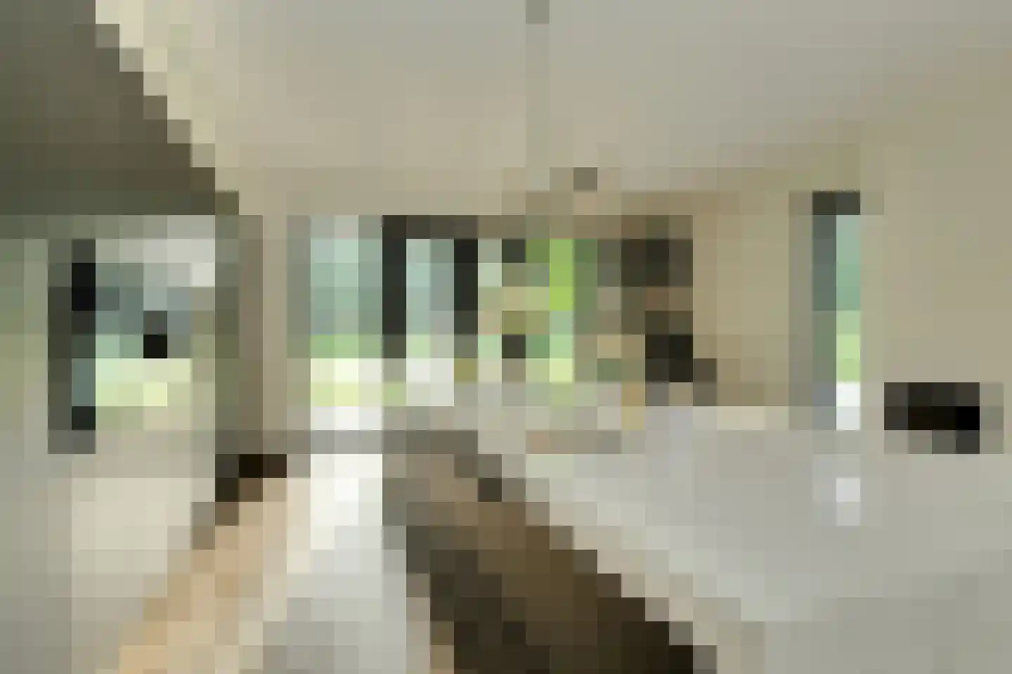 Hertenroep 10 Teteringen thumbnail 9