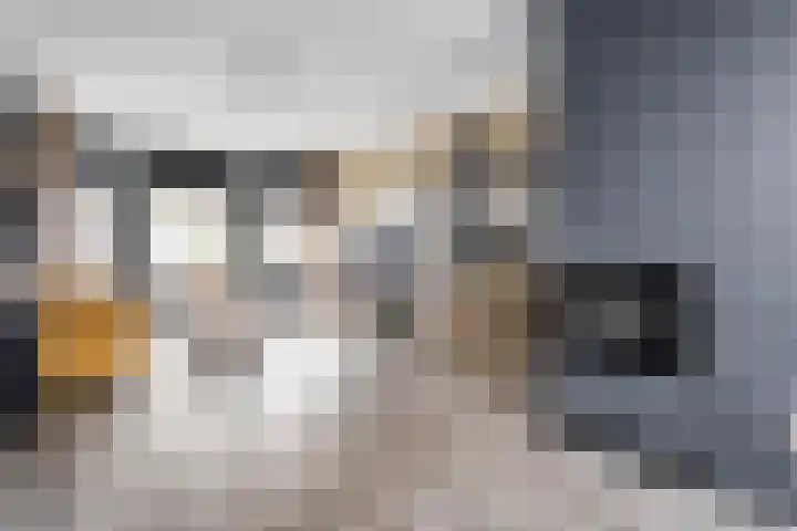 Hertenstraat 20 Zwolle thumbnail 10