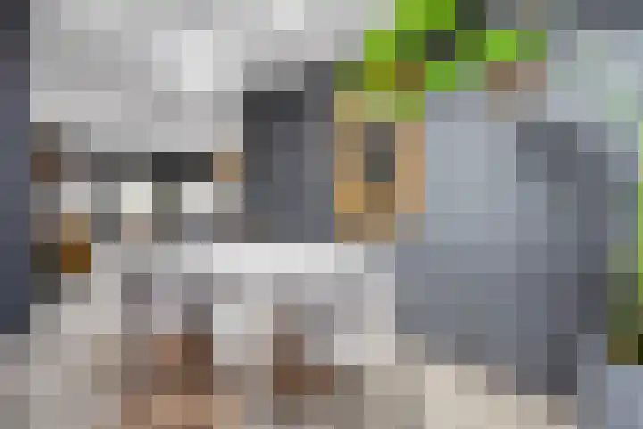 Hertenstraat 20 Zwolle thumbnail 12