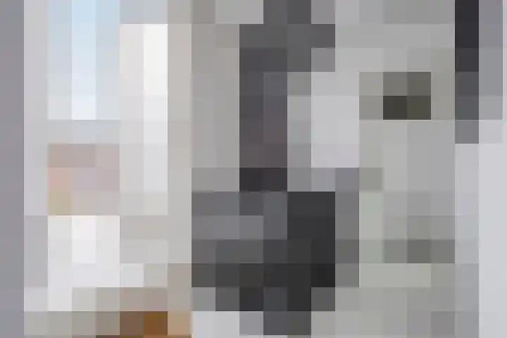 Hertenstraat 20 Zwolle thumbnail 21