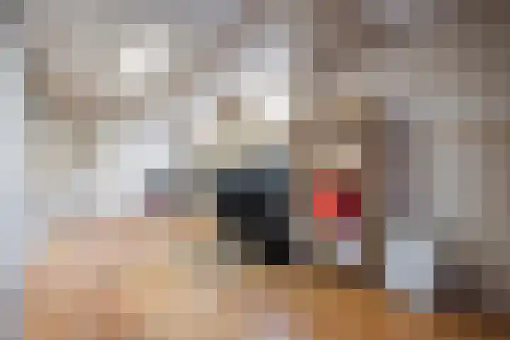 Hertenstraat 20 Zwolle thumbnail 31