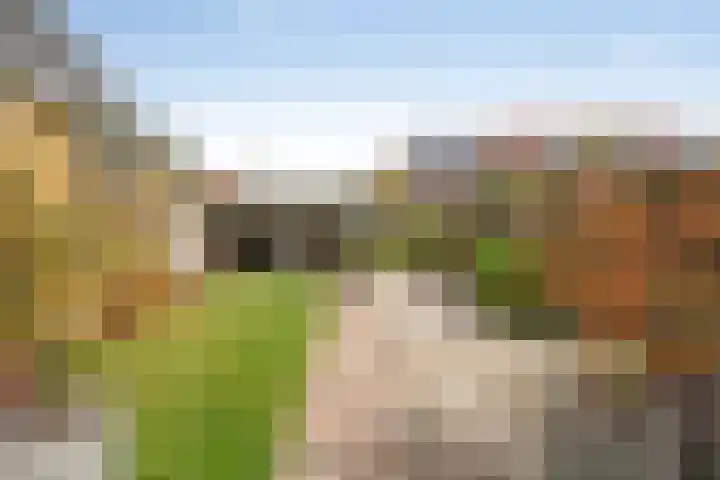 Hertenstraat 20 Zwolle thumbnail 38