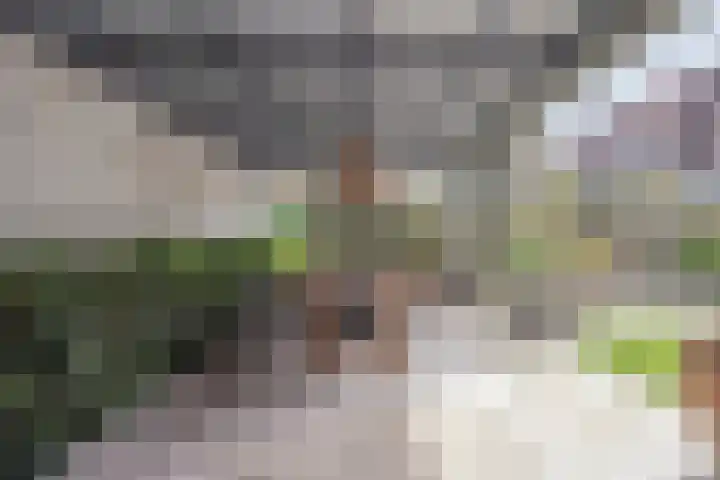 Hertenstraat 20 Zwolle thumbnail 39