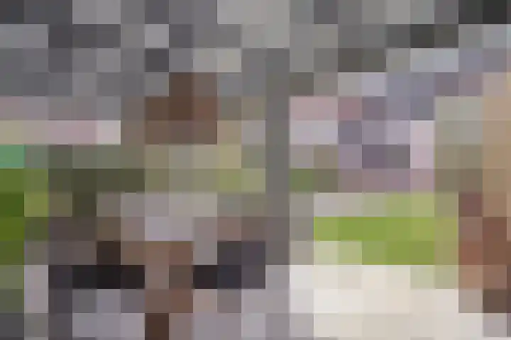 Hertenstraat 20 Zwolle thumbnail 40