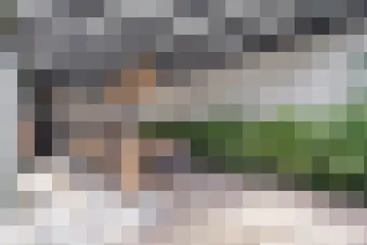 Hertenstraat 20 Zwolle thumbnail 41