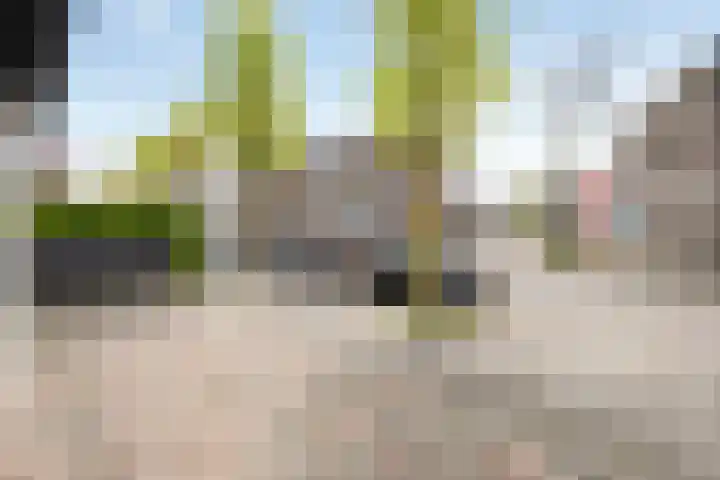 Hertenstraat 20 Zwolle thumbnail 43
