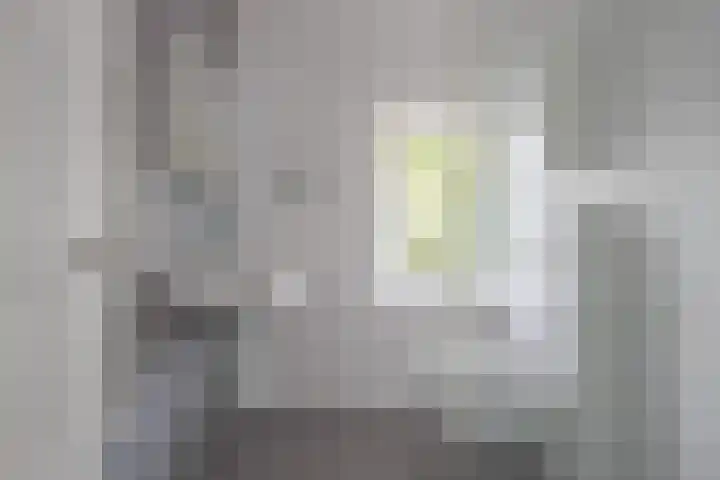 Hertenstraat 58 Zwolle thumbnail 34