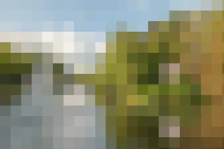 Hertenstraat 58 Zwolle thumbnail 53