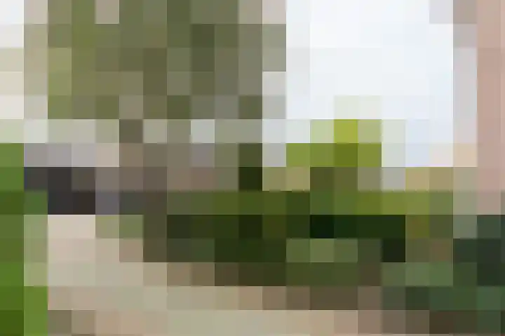 Hertespoor 11 Barneveld thumbnail 10