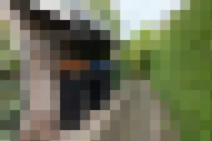 Hertespoor 11 Barneveld thumbnail 11