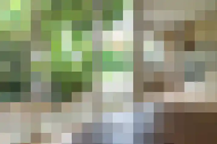 Hertespoor 11 Barneveld thumbnail 20