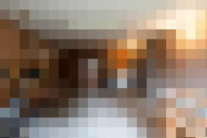 Hertespoor 11 Barneveld thumbnail 27