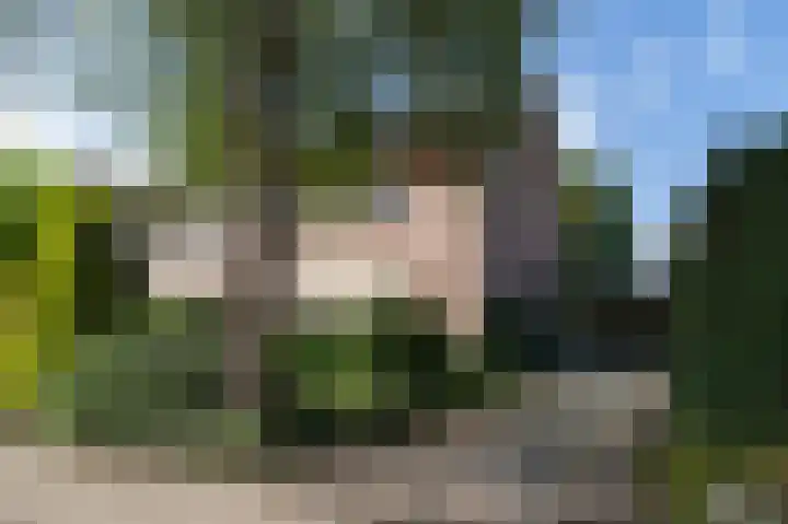 Hertespoor 11 Barneveld thumbnail 48