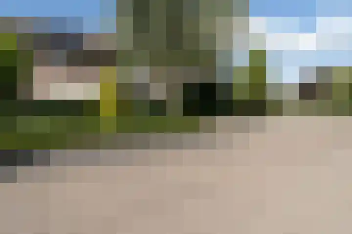 Hertespoor 11 Barneveld thumbnail 49