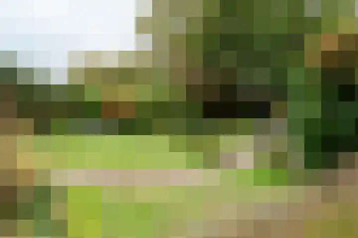 Hertespoor 11 Barneveld thumbnail 51